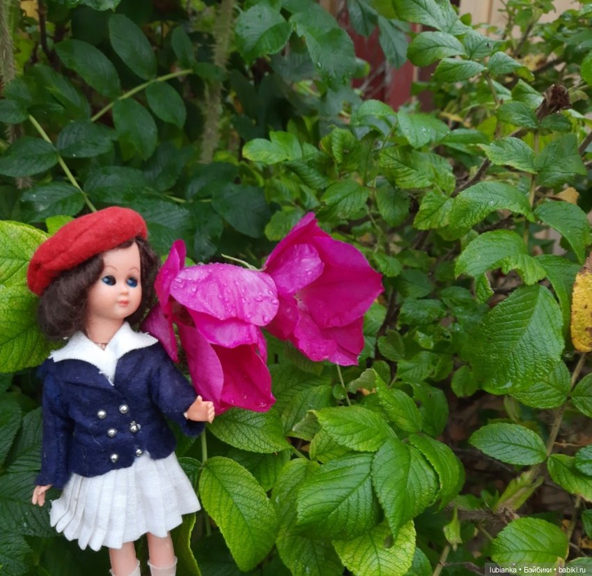 Прелесть красного берета♥️