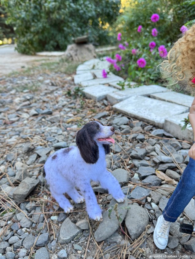 Прогулка в парке — Куклы Dart dolls (Анна Шиткина): российские BJD (БЖД) (фото 7)