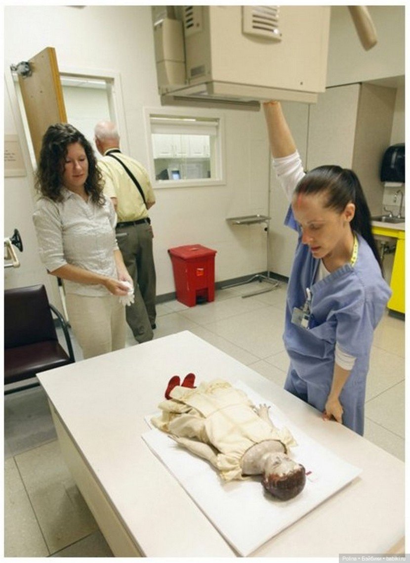 Загадочные куклы-путешественницы под рентгеном (фото 7)