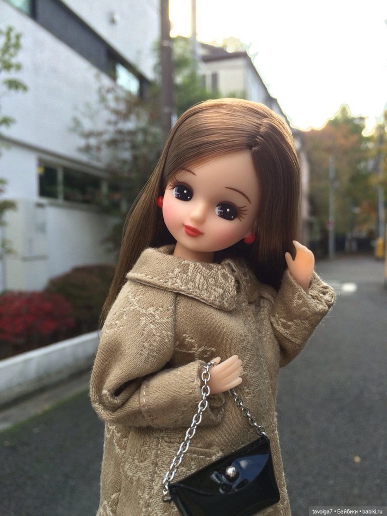 Licca в осенних образах с просторов интернета