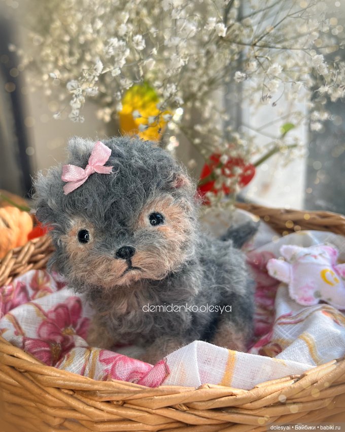 Йоркширский терьер Маслинка (фото 2)