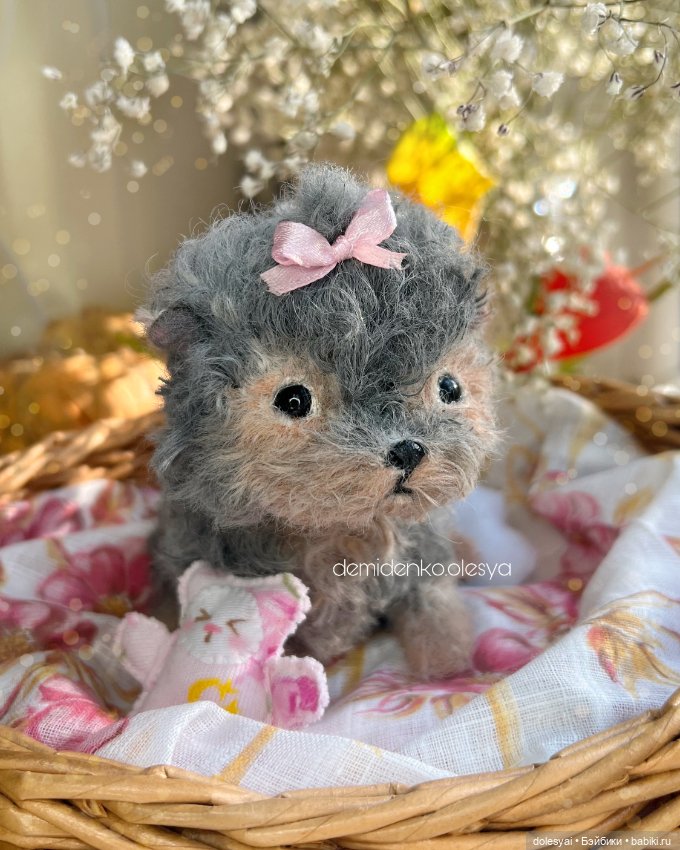 Йоркширский терьер Маслинка