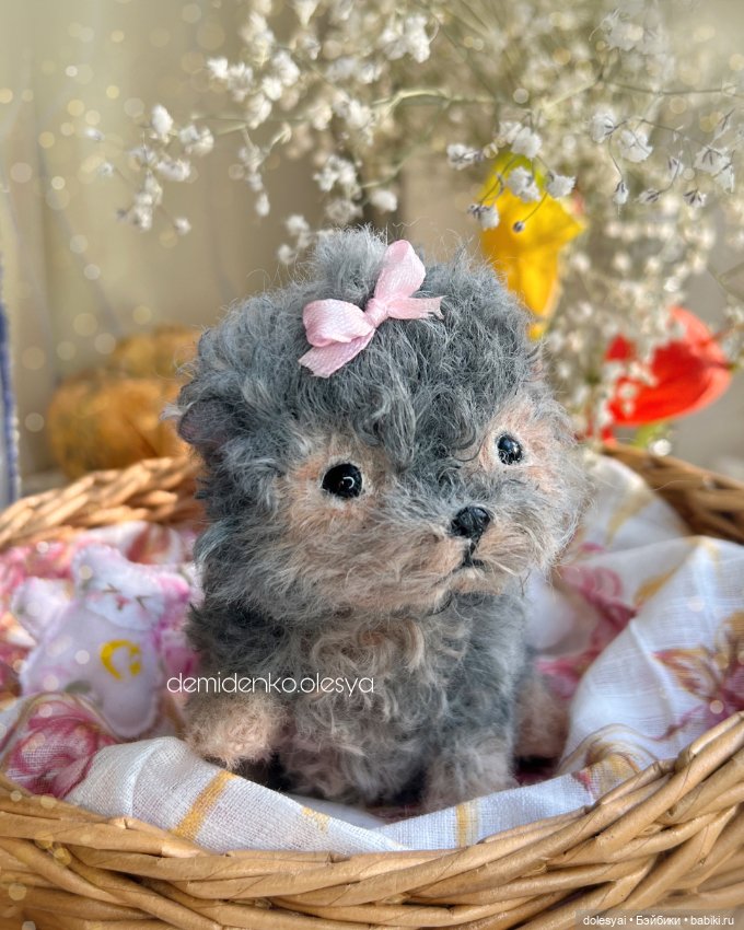 Йоркширский терьер Маслинка (фото 4)