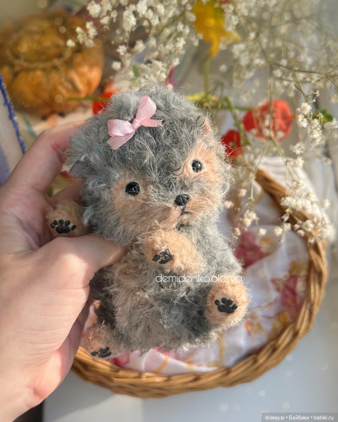 Йоркширский терьер Маслинка (фото 3)