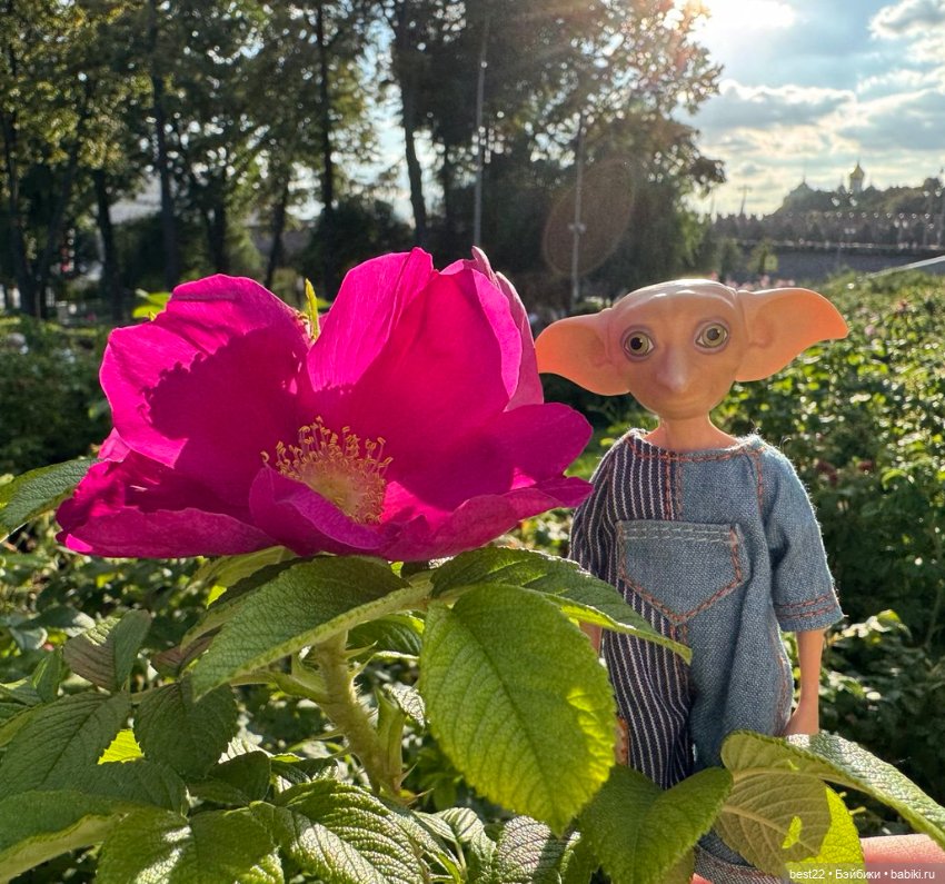 Счастливый эльф Добби — Куклы Mattel (Маттел) разное: Enchantimals (фото 4)