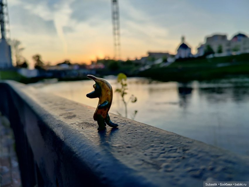 Крокодил, крокодю и буду крокодить (фото 9)