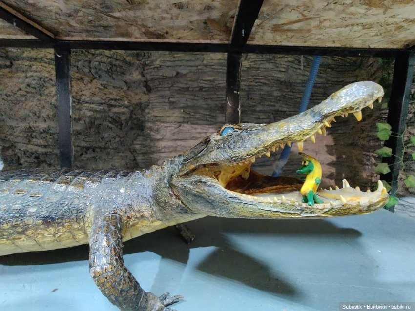 Крокодил, крокодю и буду крокодить