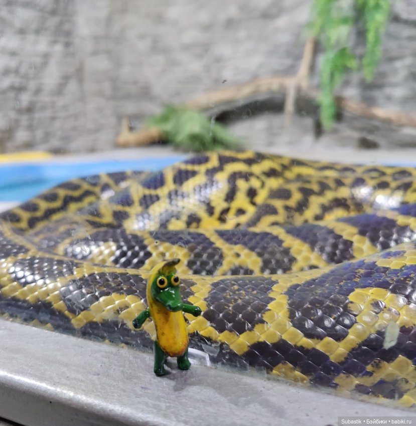 Крокодил, крокодю и буду крокодить