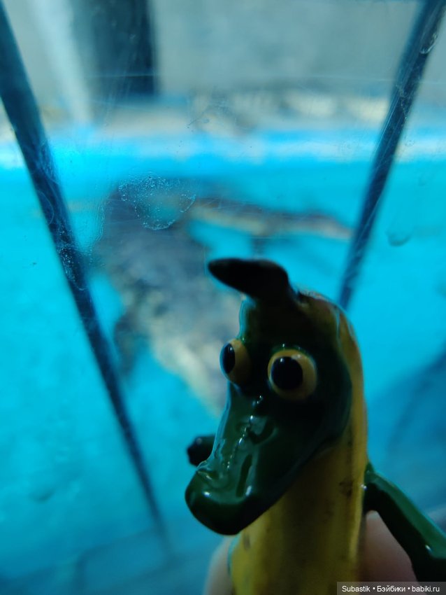 Крокодил, крокодю и буду крокодить