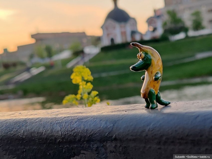 Крокодил, крокодю и буду крокодить (фото 8)