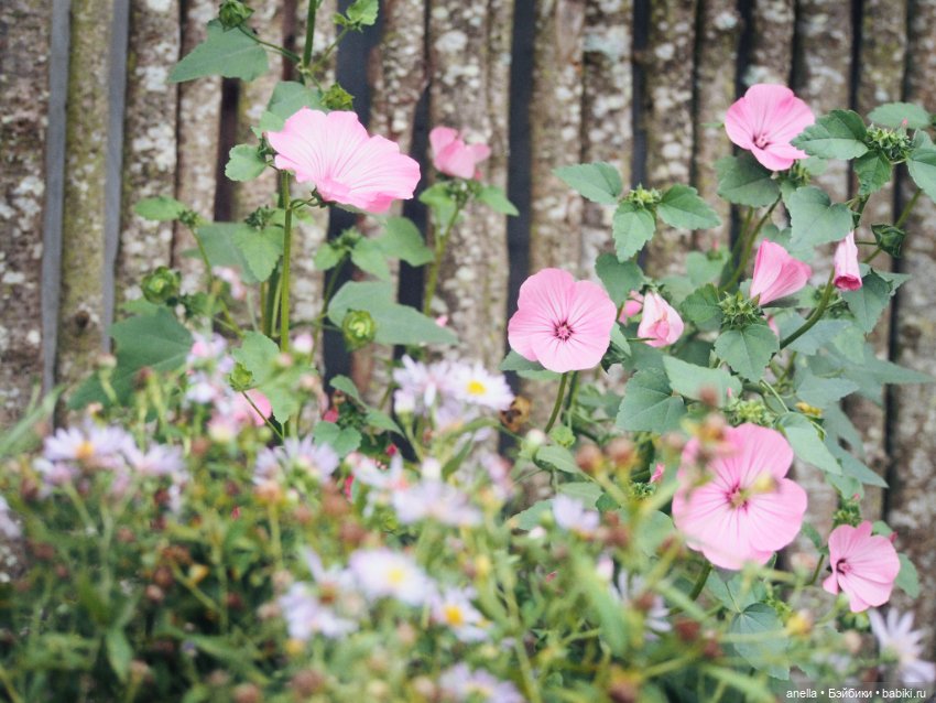 Игровые куклы разных производителей (Разное): редкие бренды