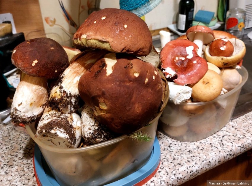 Закрываю сезон 😞 — Коллекционные фигурки (разное): животные (фото 5)