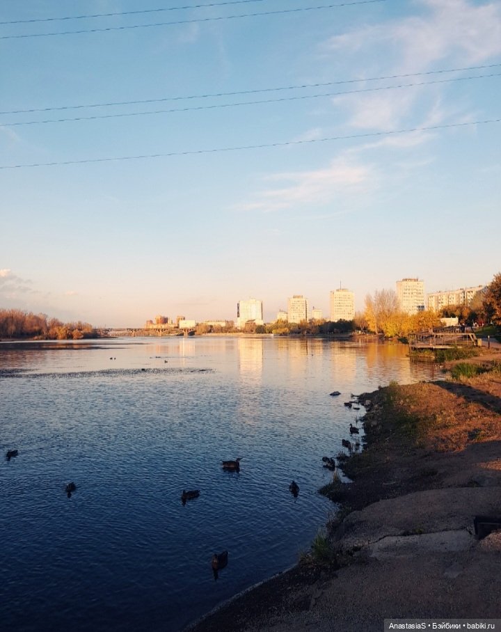 В погоне за сусликами,с паолкой(часть 5) (фото 3)