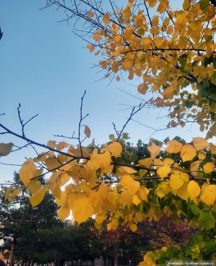 В погоне за сусликами,с паолкой(часть 5) (фото 5)