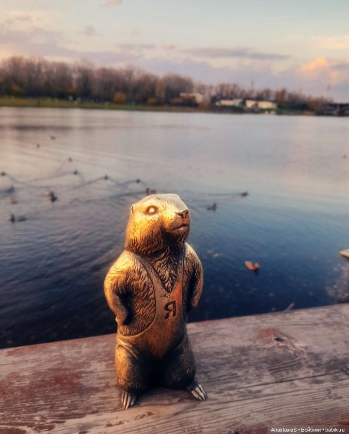 В погоне за сусликами,с паолкой(часть 5) (фото 6)