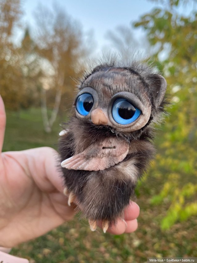 Совенок наслаждается осенью (фото 6)