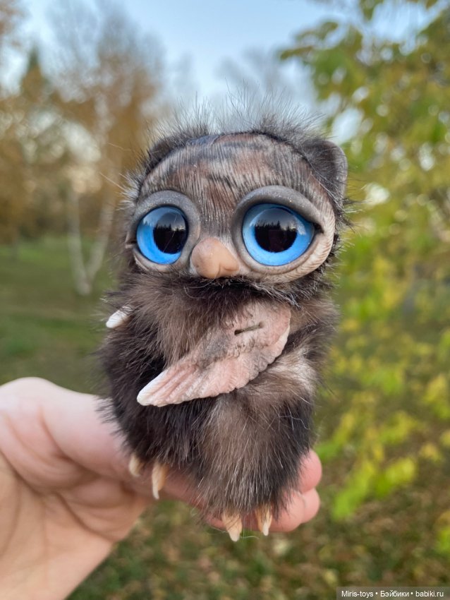 Совенок наслаждается осенью (фото 8)