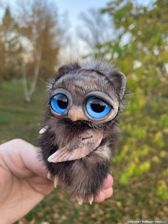 Совенок наслаждается осенью (фото 9)