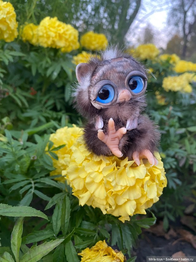 Совенок наслаждается осенью