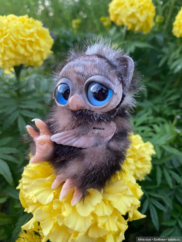 Совенок наслаждается осенью (фото 3)