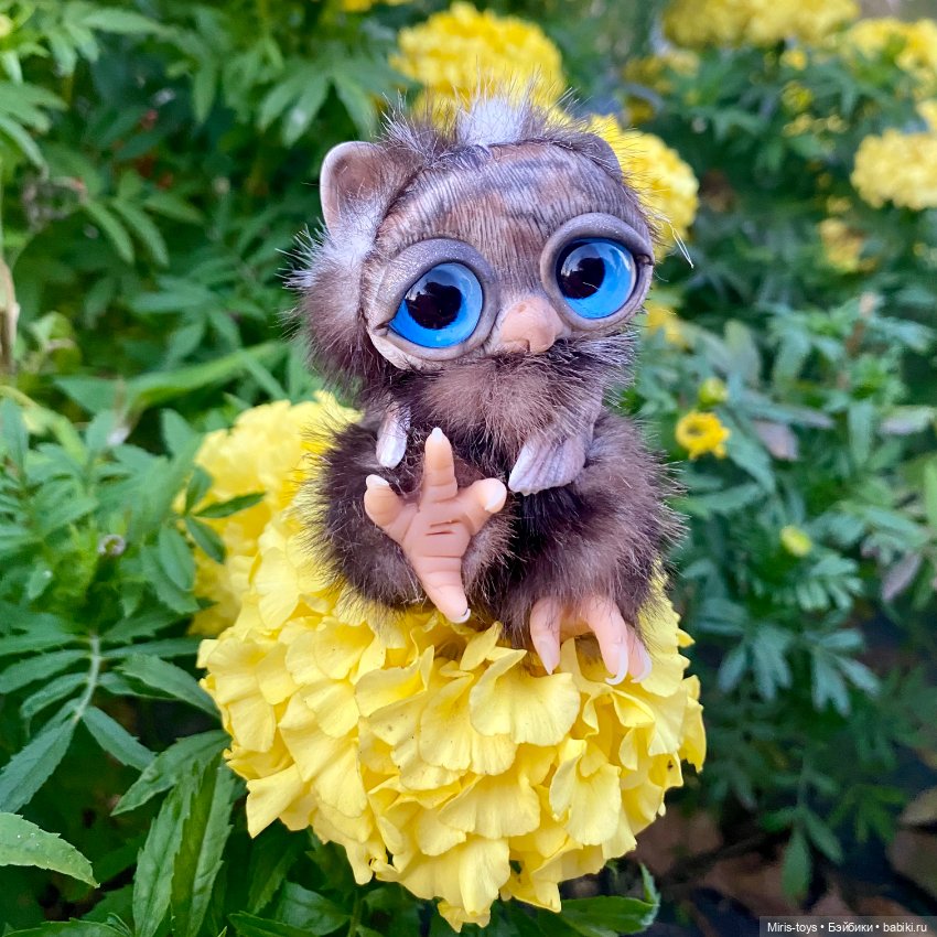 Совенок наслаждается осенью (фото 2)