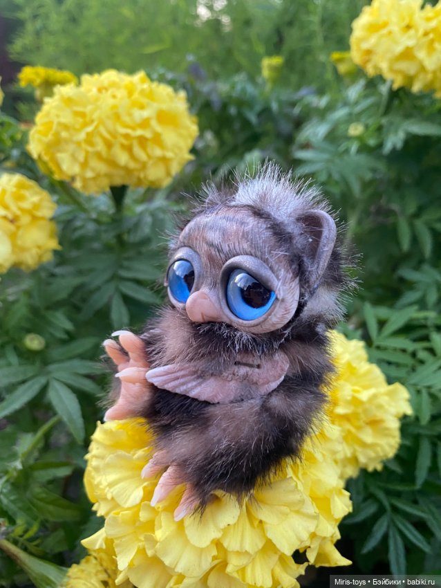 Совенок наслаждается осенью (фото 5)