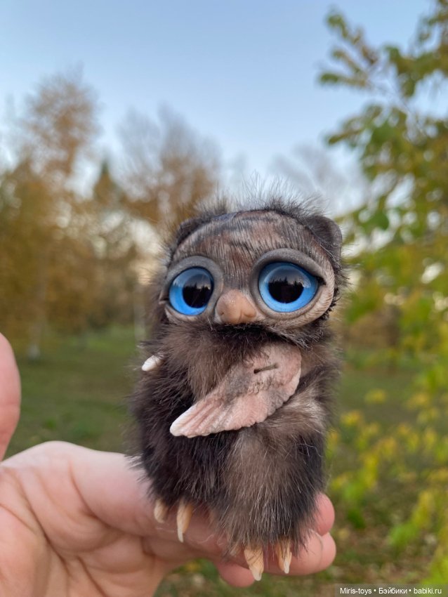 Совенок наслаждается осенью