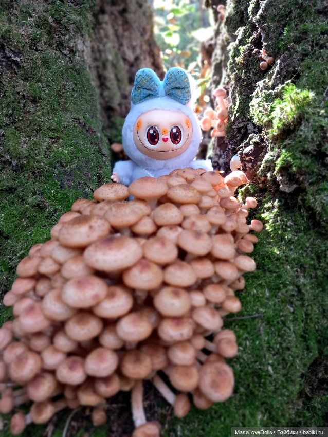 Закрываем грибной сезон — Куклы Berjuan (Бержуан): Биггерсы (Biggers)