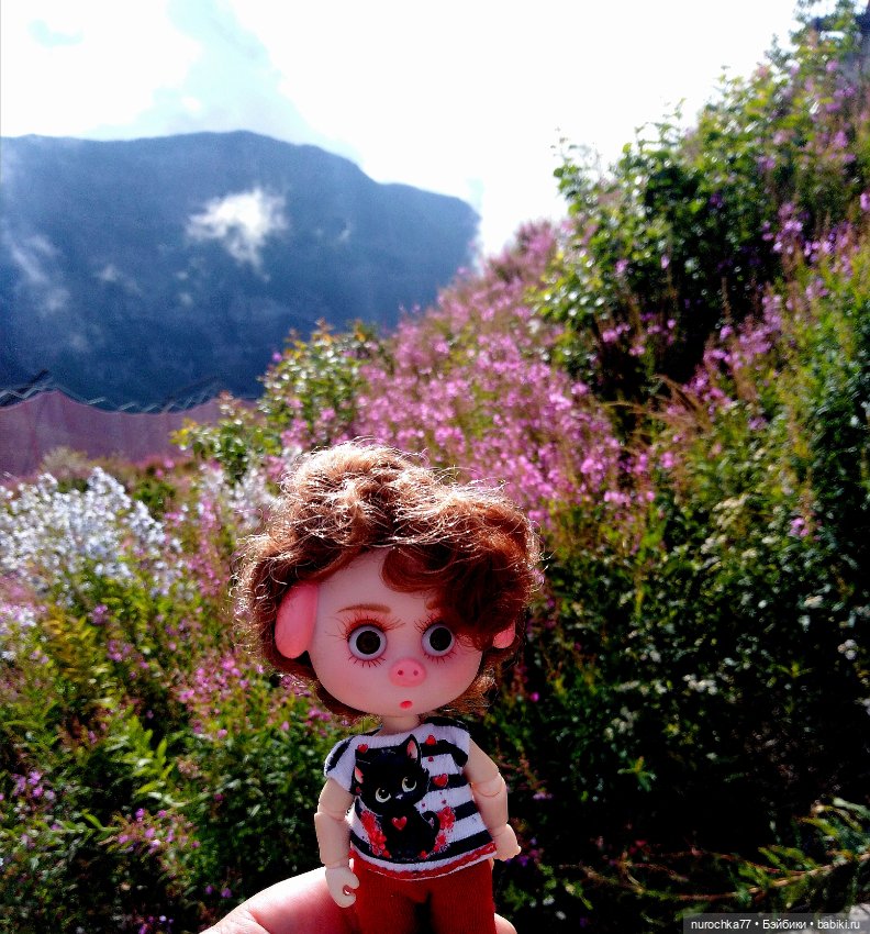 Про Нафочку. Прогулка в облаках. Красная поляна