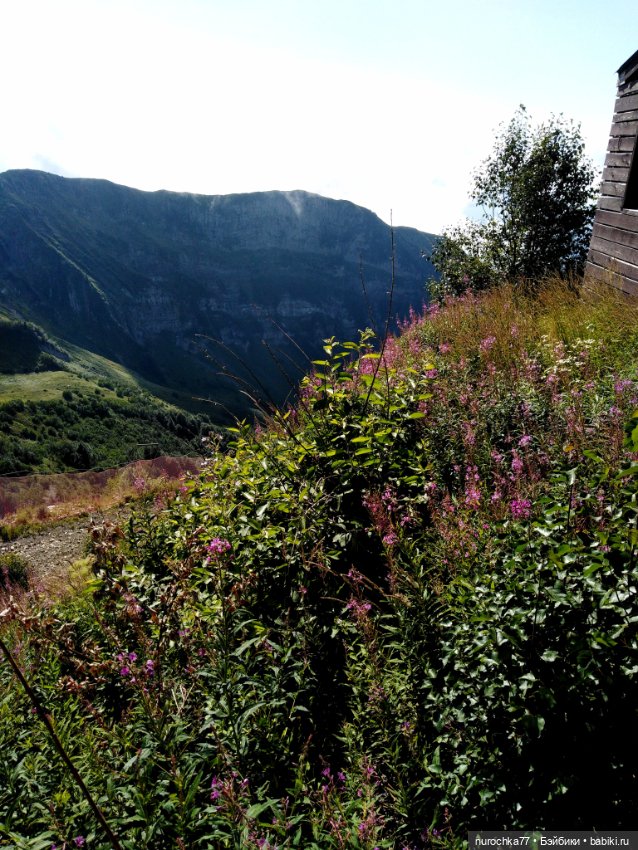 Про Нафочку. Прогулка в облаках. Красная поляна