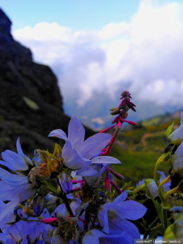 Про Нафочку. Прогулка в облаках. Красная поляна