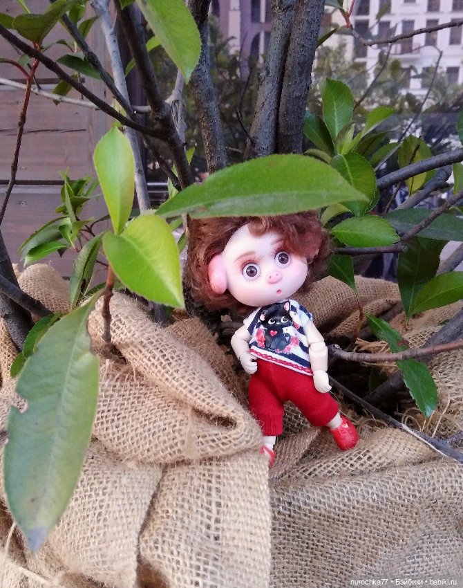 Про Нафочку. Прогулка в облаках. Красная поляна