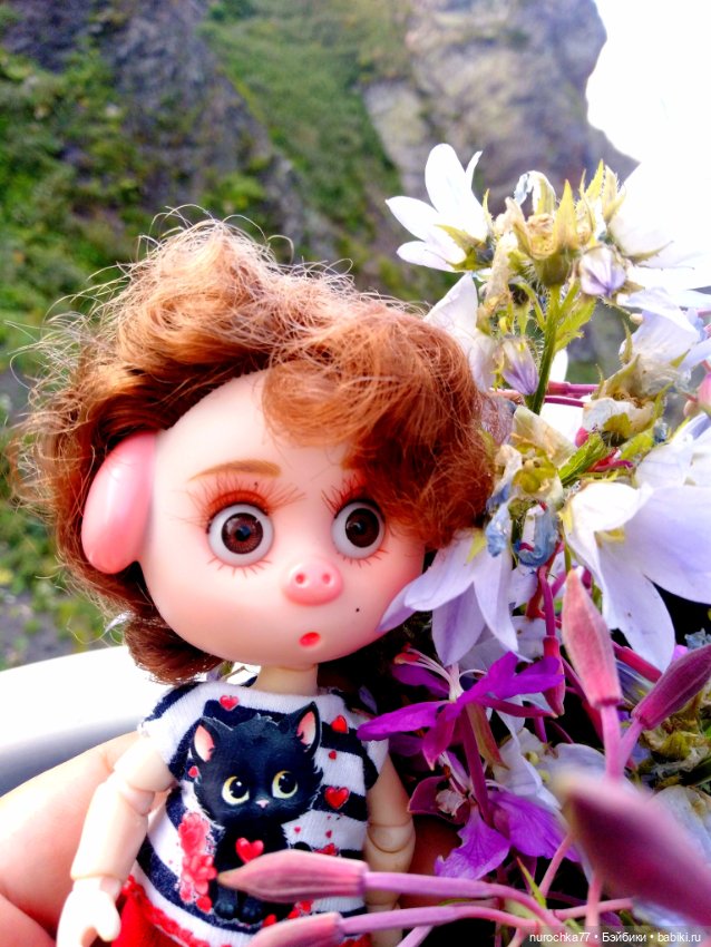 Про Нафочку. Прогулка в облаках. Красная поляна