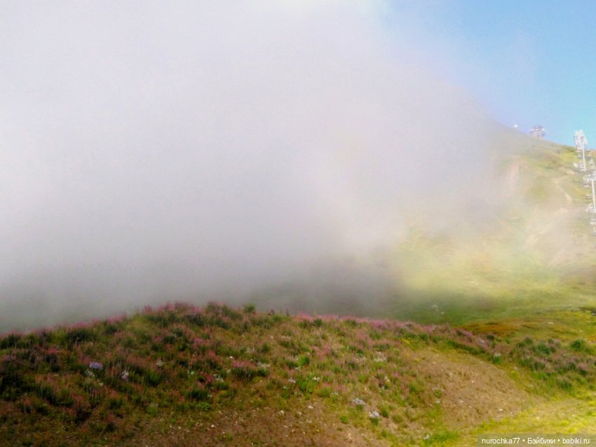 Про Нафочку. Прогулка в облаках. Красная поляна