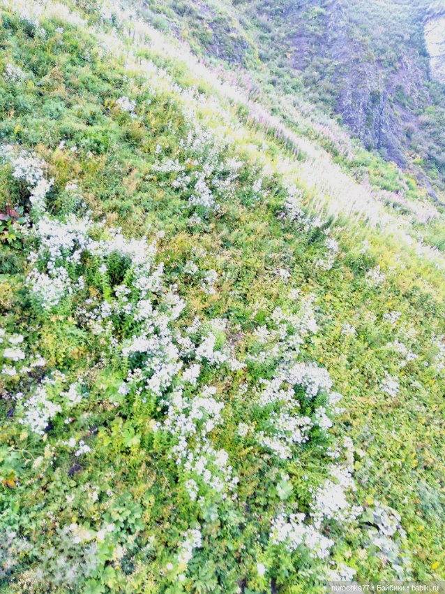 Про Нафочку. Прогулка в облаках. Красная поляна