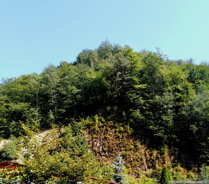 Про Нафочку. Прогулка в облаках. Красная поляна (фото 8)