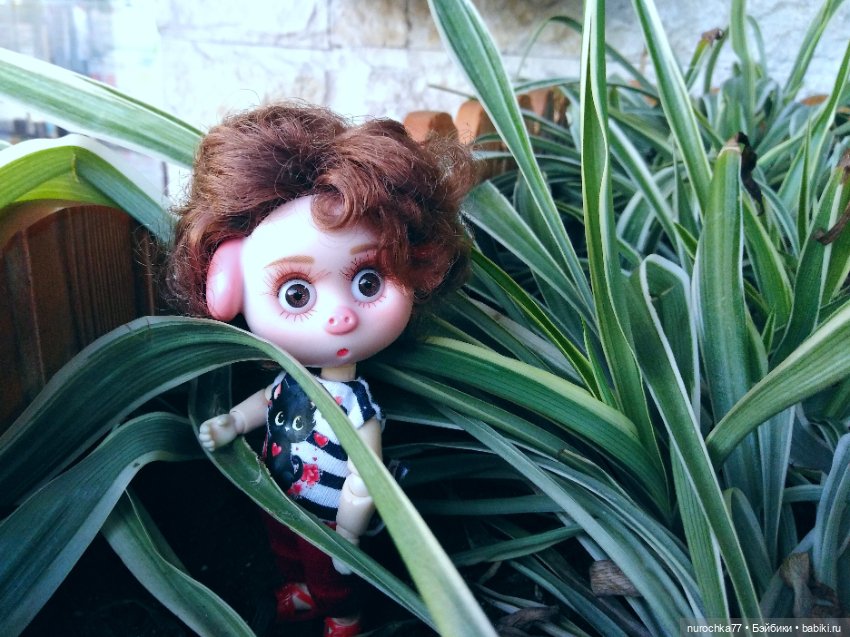 Про Нафочку. Прогулка в облаках. Красная поляна