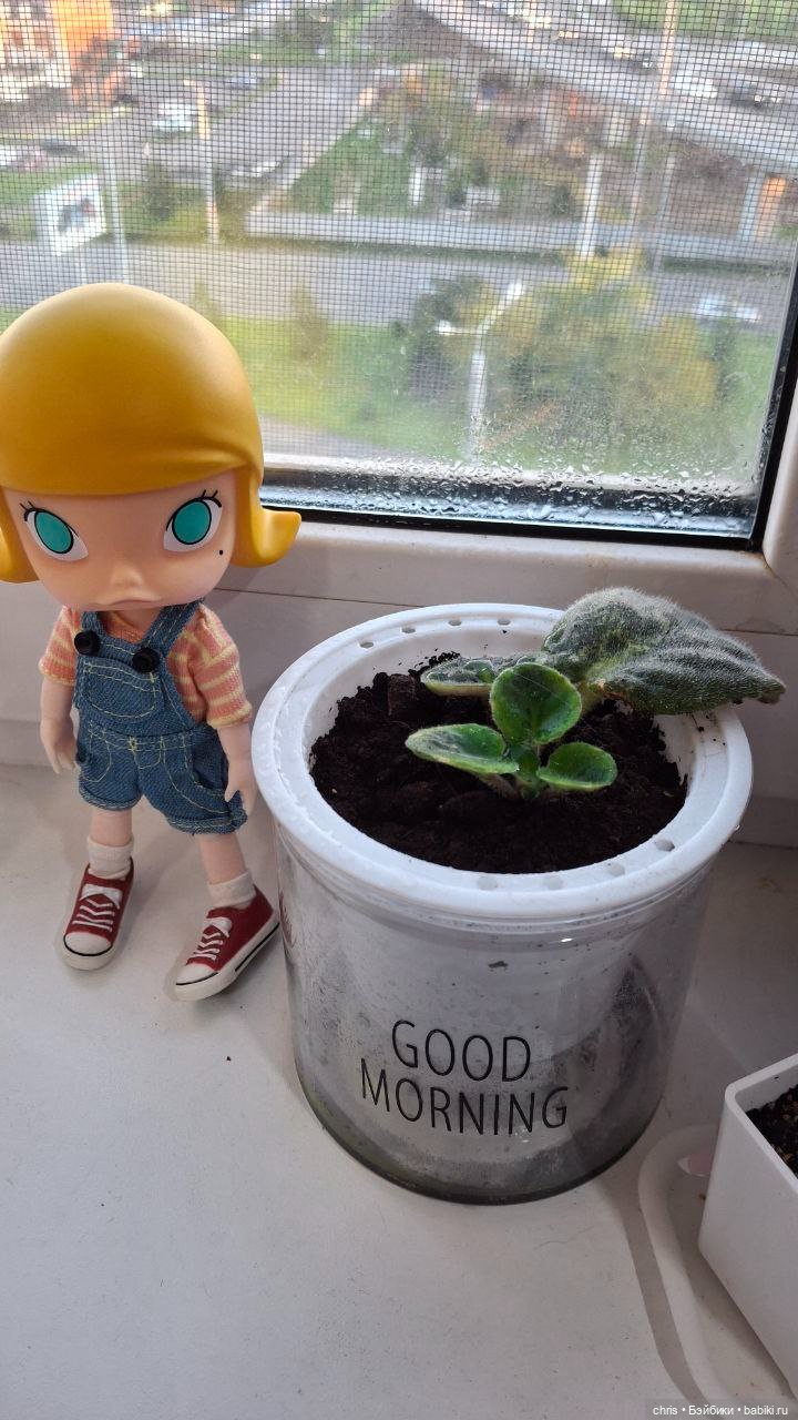 Куколка Molly — Игровые куклы разных производителей (Разное): редкие бренды (фото 5)