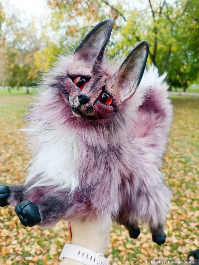 Последняя прогулка с лисой Сакурой. Скоро тебе домой❤️ (фото 4)