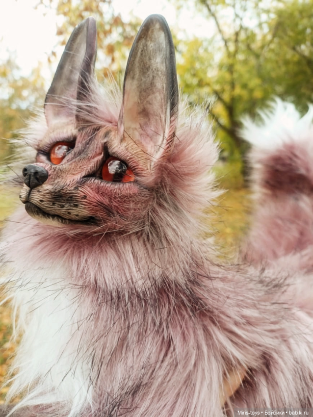 Последняя прогулка с лисой Сакурой. Скоро тебе домой❤️ (фото 2)