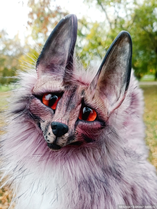 Последняя прогулка с лисой Сакурой. Скоро тебе домой❤️ (фото 5)