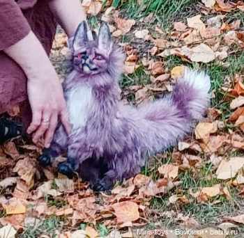 Последняя прогулка с лисой Сакурой. Скоро тебе домой❤️ (фото 3)