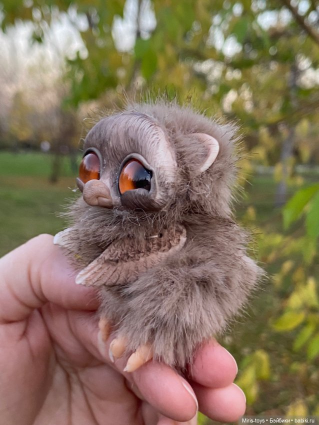 Стеснительный совенок встретил подружку Коричку