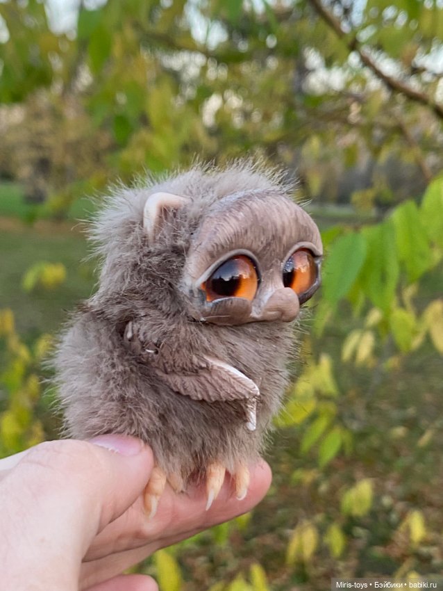 Стеснительный совенок встретил подружку Коричку