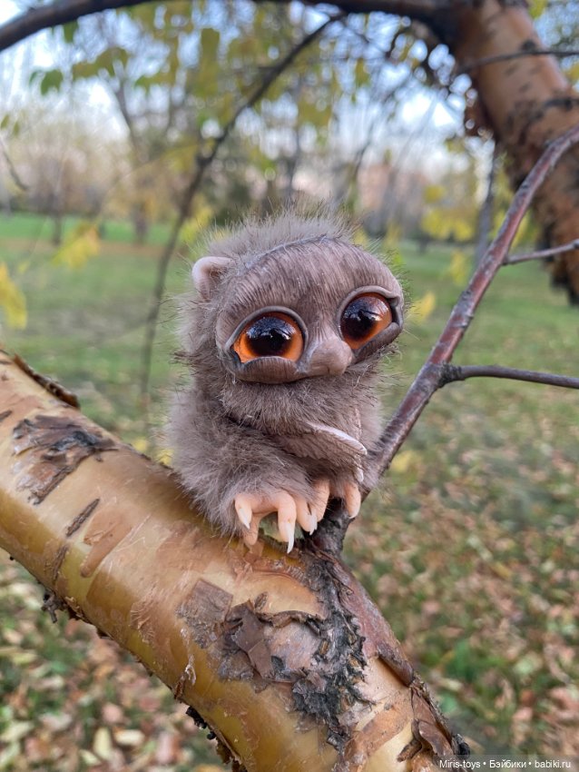 Стеснительный совенок встретил подружку Коричку (фото 5)