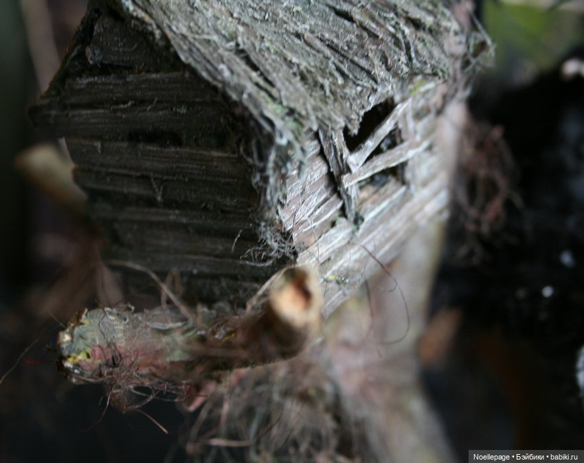 Почтовая служба нечисти — Зарисовки из кукольной жизни: фотоистории (фото 7)