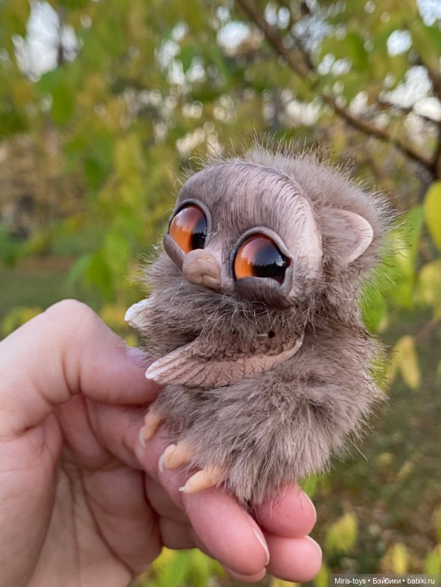 Стеснительный совенок встретил подружку Коричку (фото 9)