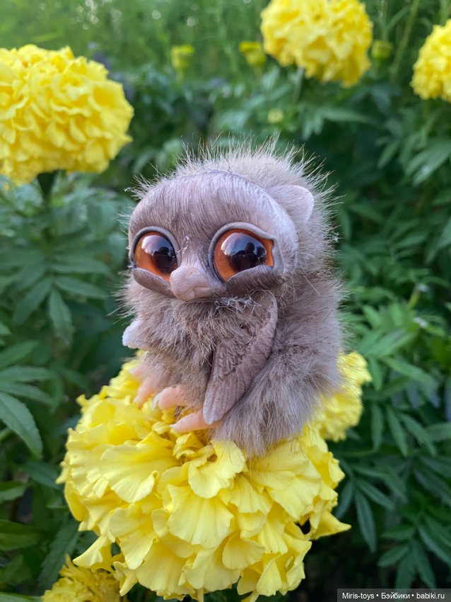 Стеснительный совенок встретил подружку Коричку