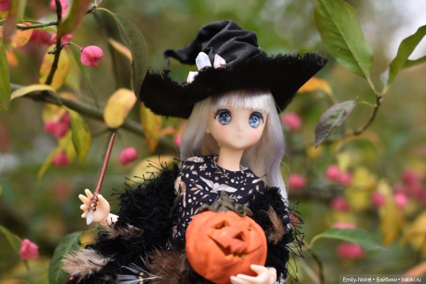 Ведьма Мэри — Куклы Azone (Азон) и тела Pure Neemo: фото (фото 4)
