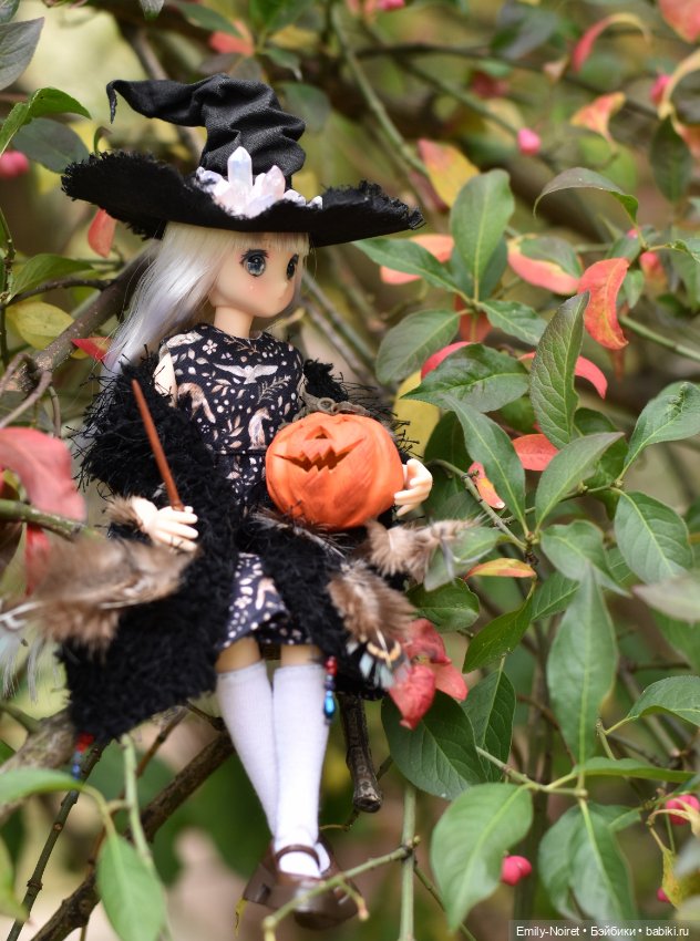 Ведьма Мэри — Куклы Azone (Азон) и тела Pure Neemo: фото (фото 5)